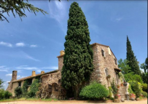 Masia Mimosa